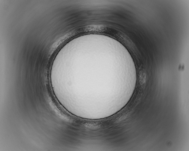 X0000111650725200908071407