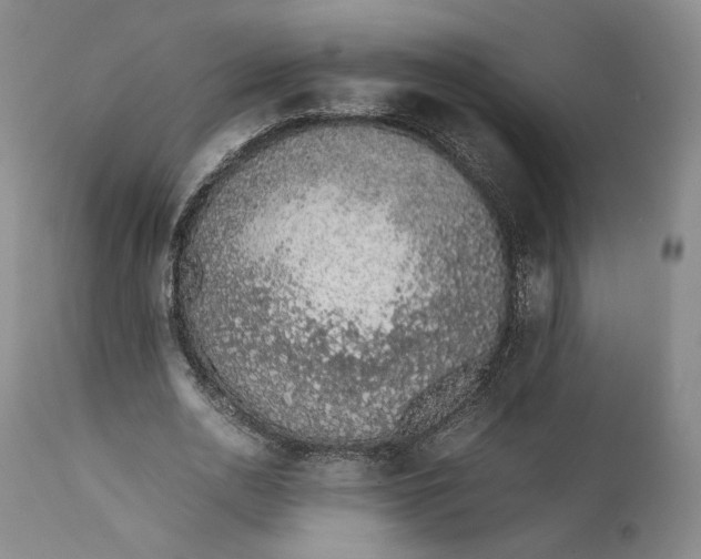 X0000111650726200908071407