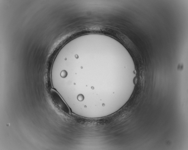 X0000111650728200908071407