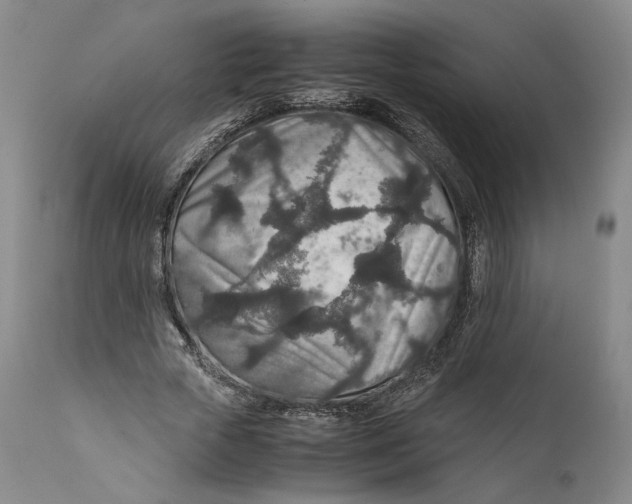X0000111650729200908071407