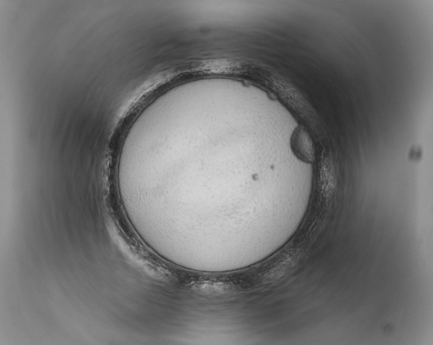 X0000111650730200908071407