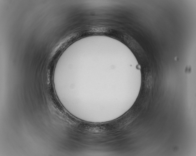 X0000111650731200908071407