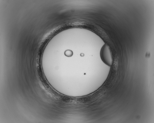 X0000111650732200908071407