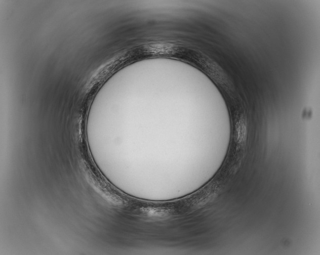 X0000111650733200908071407