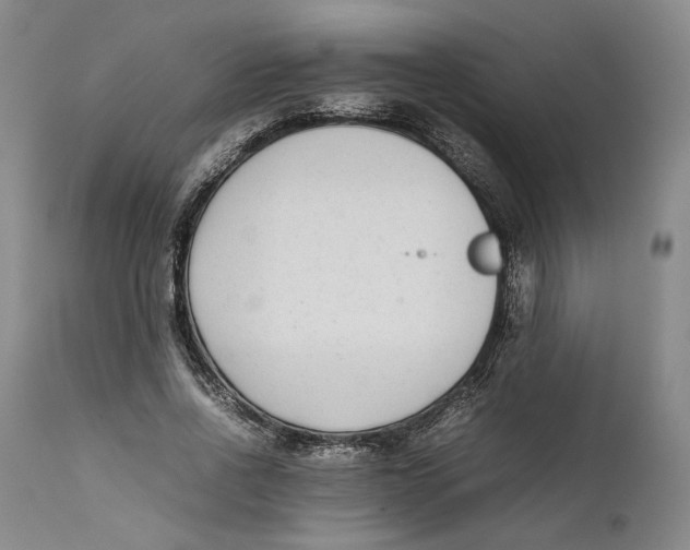 X0000111650734200908071407
