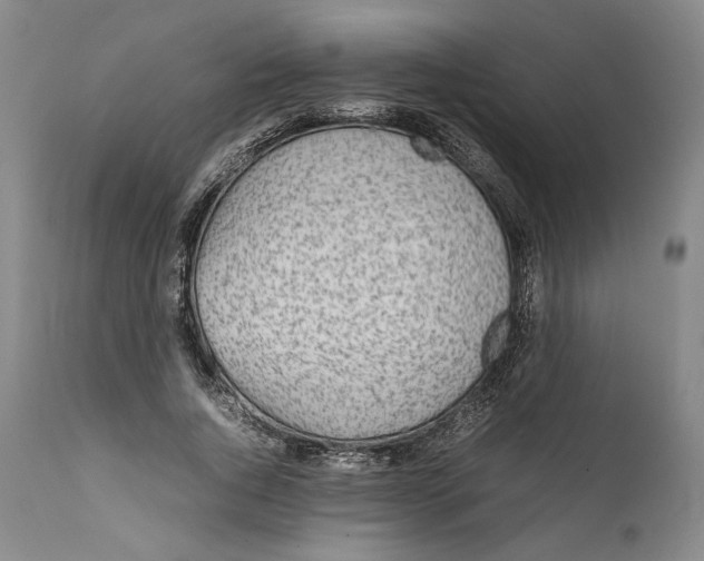 X0000111650736200908071407