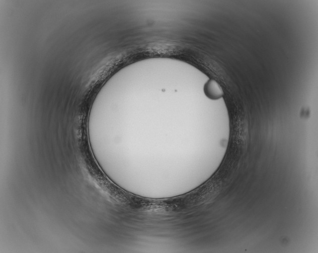 X0000111650738200908071407