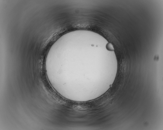 X0000111650739200908071407