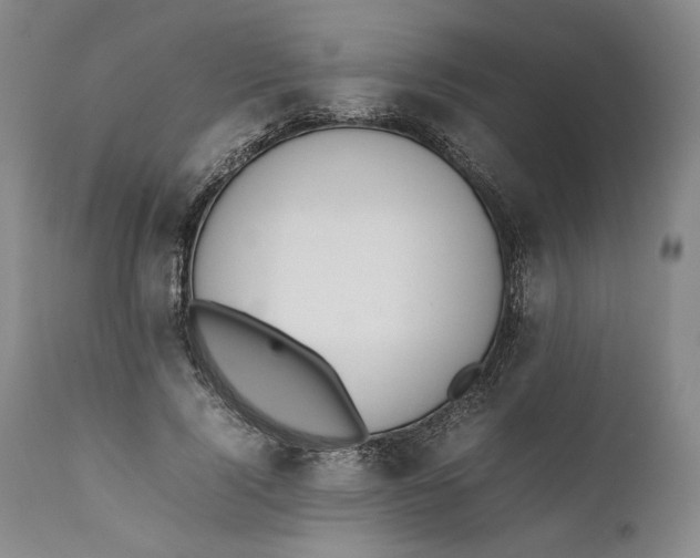 X0000111650740200908071407
