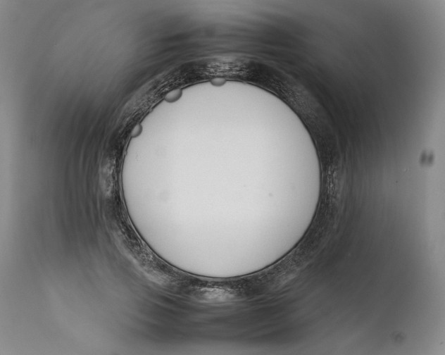 X0000111650741200908071407