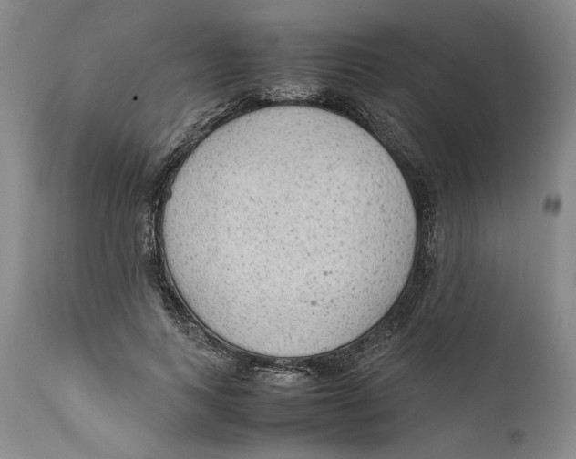 X0000111650743200908071407