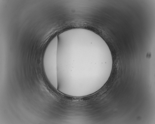 X0000111650744200908071407