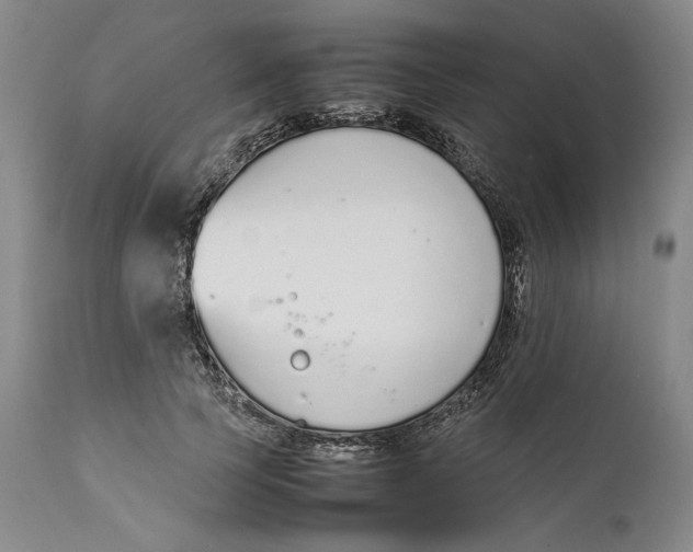 X0000111650745200908071407