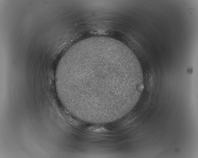 X0000111650747200908071407