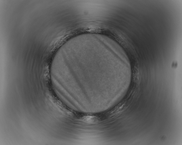 X0000111650748200908071407