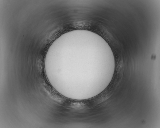 X0000111650749200908071407
