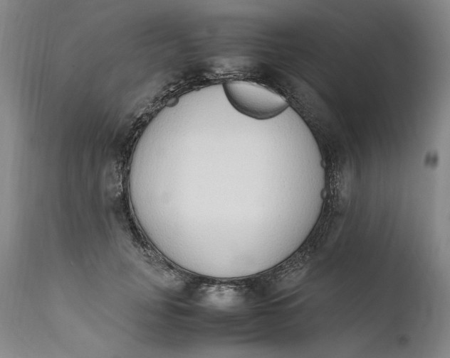 X0000111650751200908071407