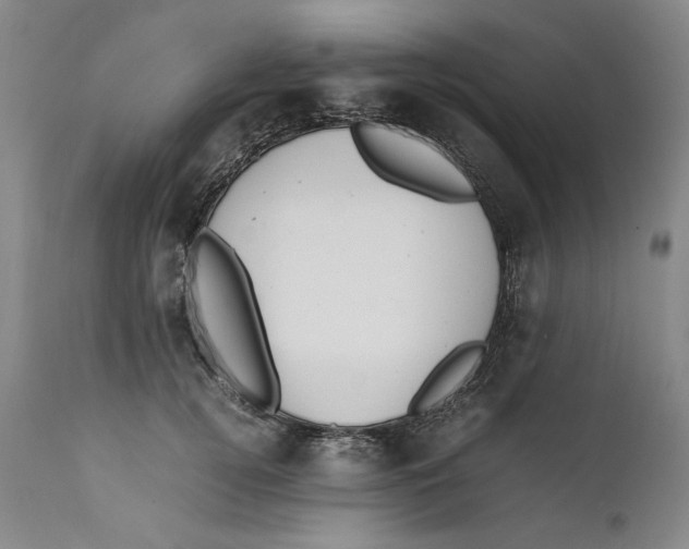 X0000111650752200908071407