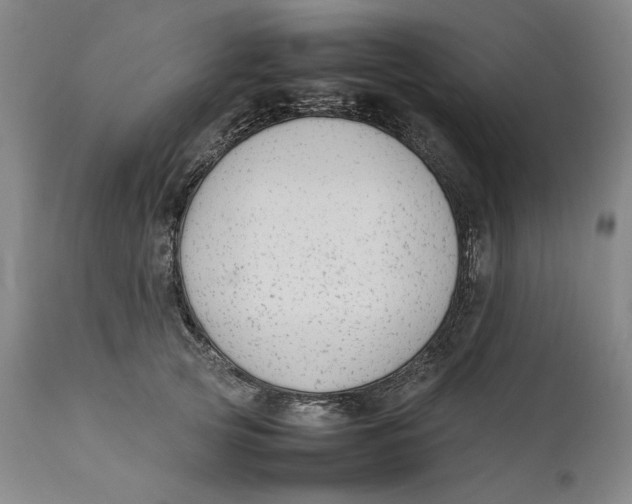 X0000111650753200908071407