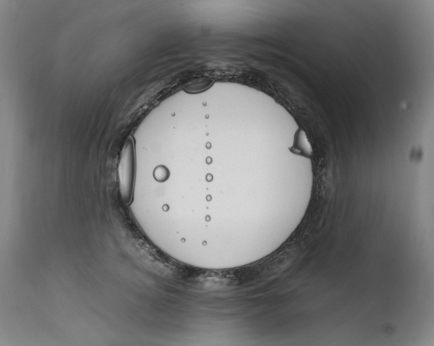 X0000111650756200908071407