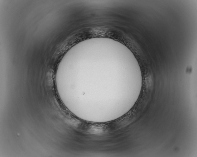 X0000111650757200908071407