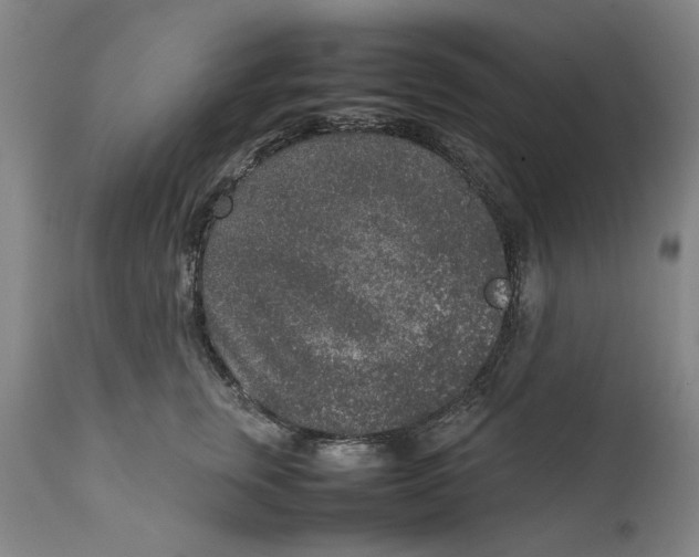 X0000111650759200908071407