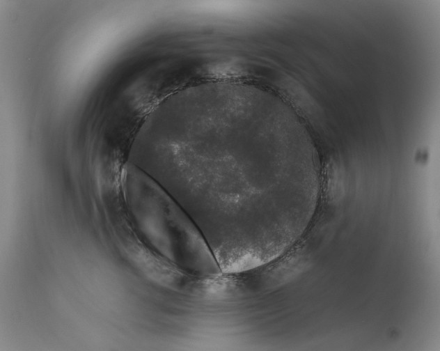 X0000111650762200908071407