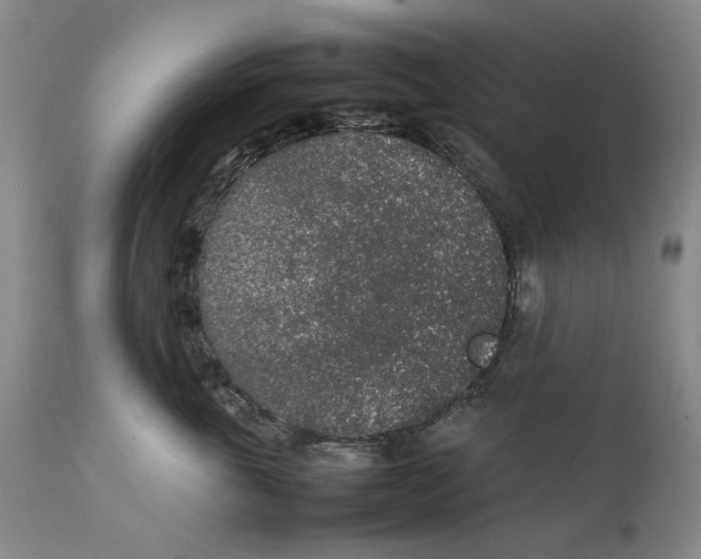 X0000111650763200908071407