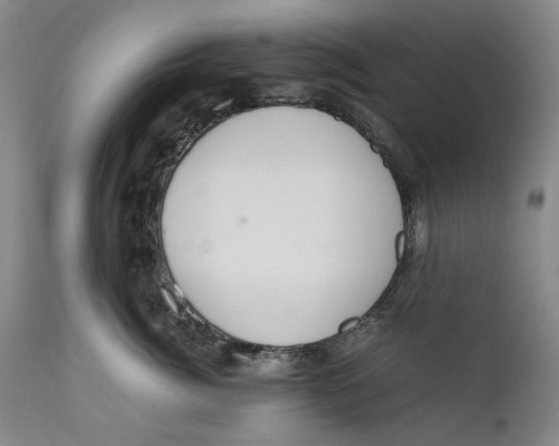 X0000111650764200908071407