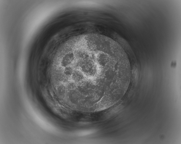 X0000111650765200908071407