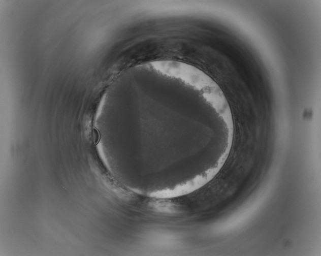 X0000111650767200908071407