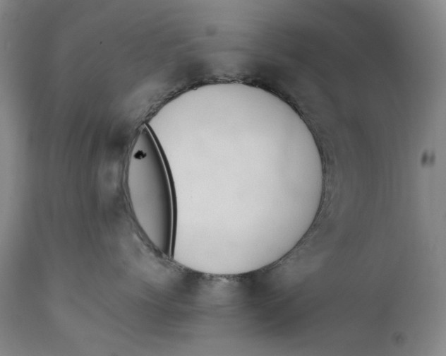 X0000111650768200908071407