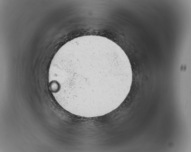 X0000111650769200908071407