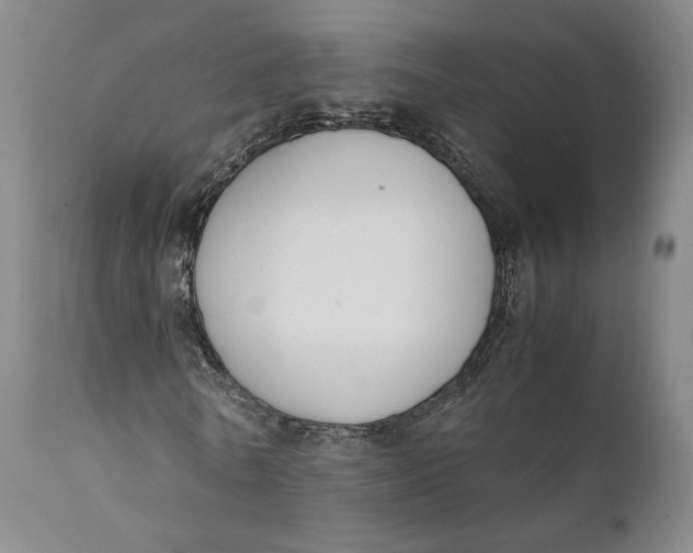 X0000111650770200908071407