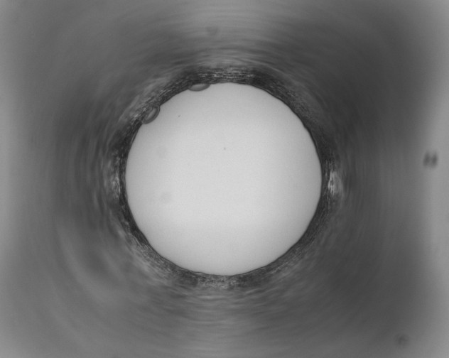 X0000111650771200908071407