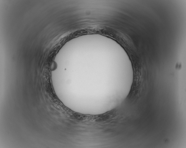 X0000111650773200908071406