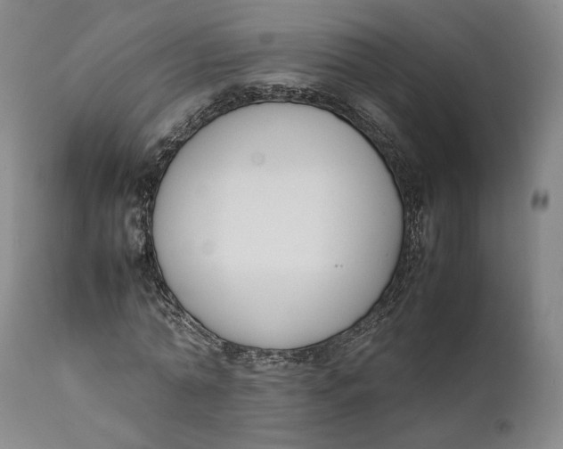 X0000111650774200908071406