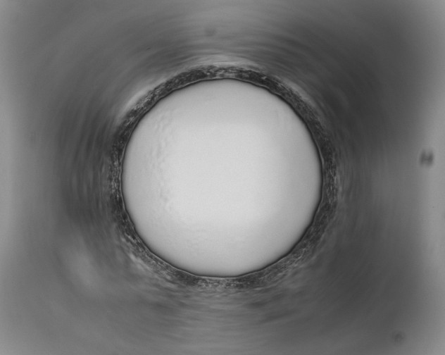 X0000111650775200908071406