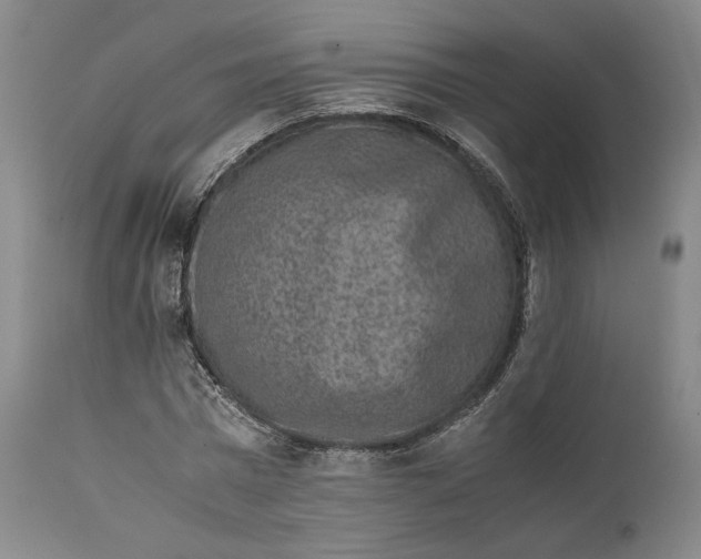X0000111650777200908071406