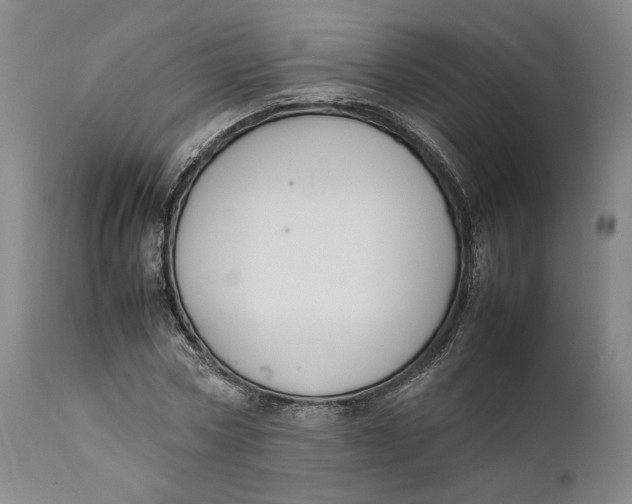 X0000111650778200908071406