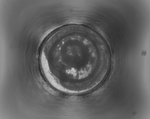 X0000111650779200908071406