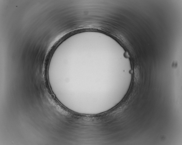 X0000111650780200908071406