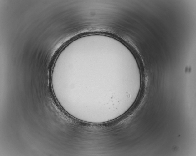 X0000111650781200908071406