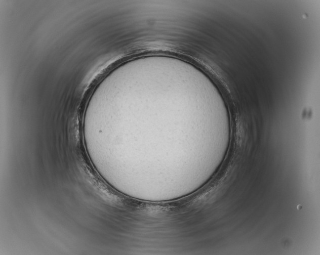 X0000111650782200908071406