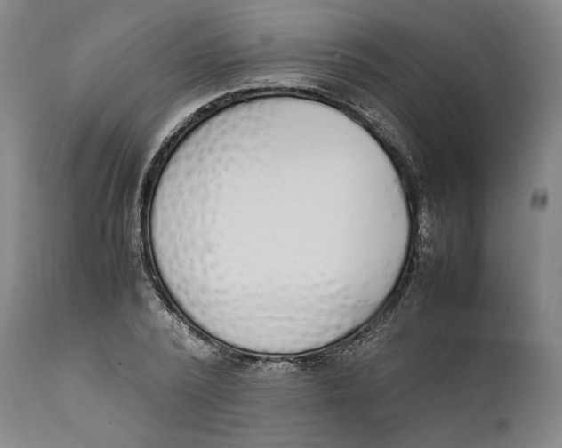 X0000111650784200908071406