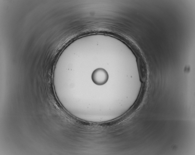 X0000111650785200908071406