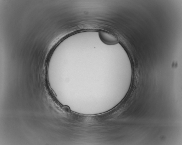 X0000111650787200908071406