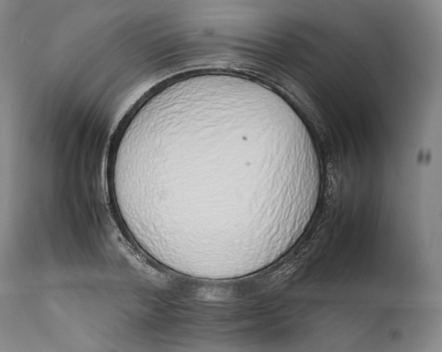 X0000111650788200908071406