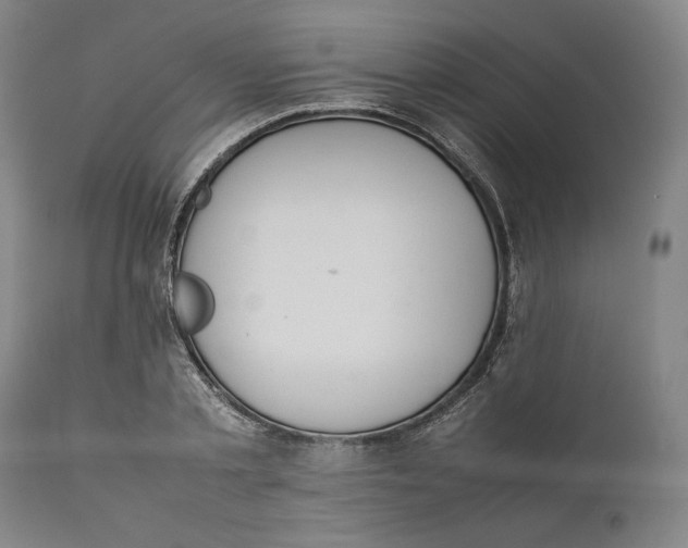 X0000111650789200908071406