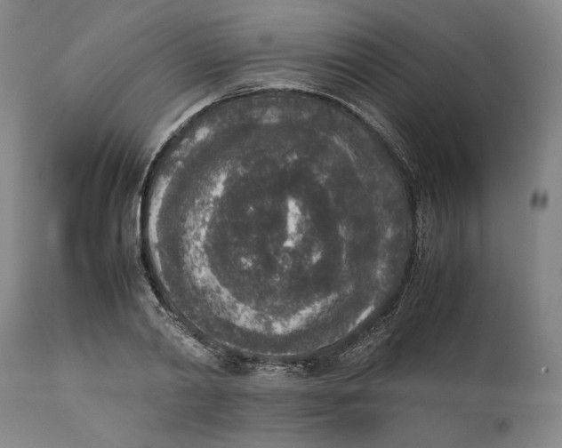 X0000111650790200908071406